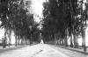 Avenida Lezica. Año 1917. (Foto 1685 FMH.CMDF.IMM.UY)